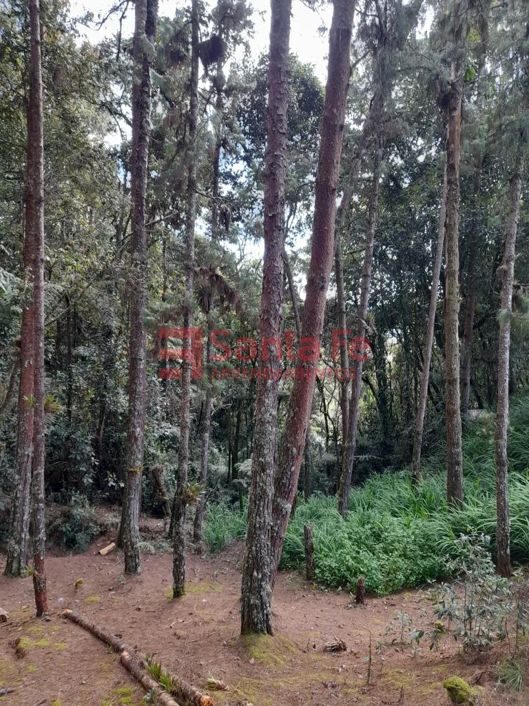 Finca en Santa Elena, Medellín — foto 60