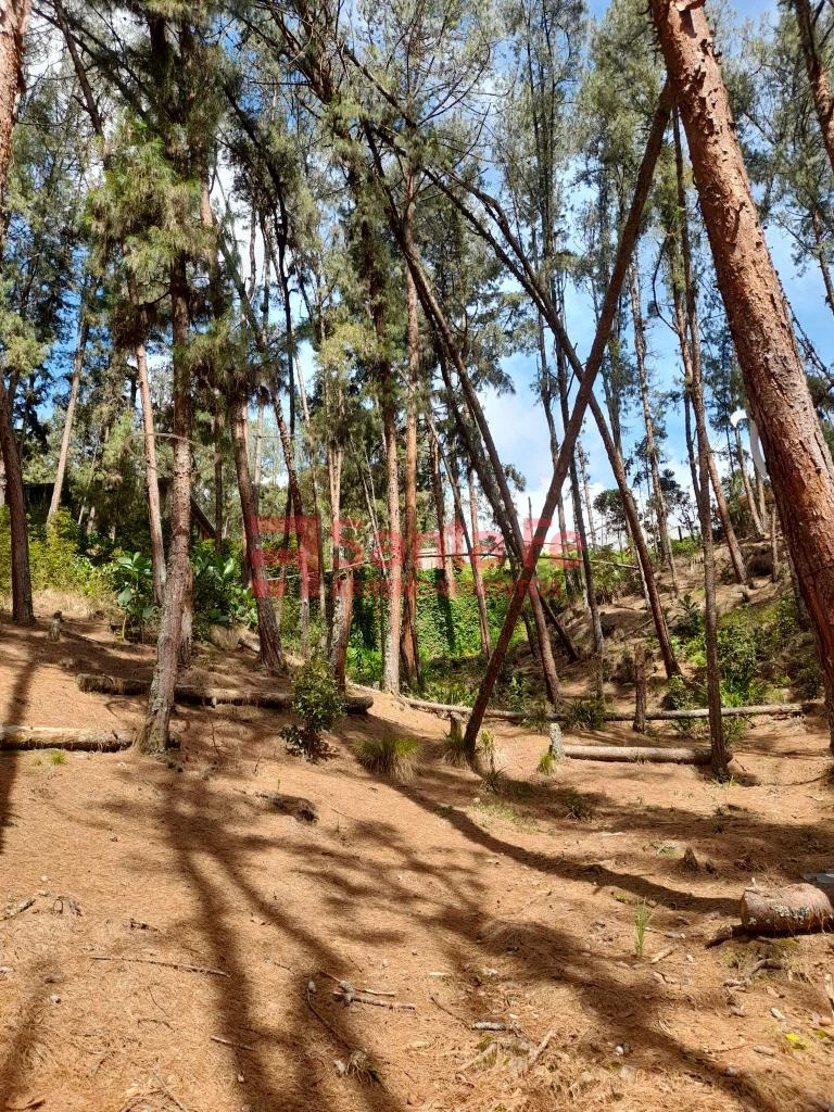 Finca en Santa Elena, Medellín — foto 62