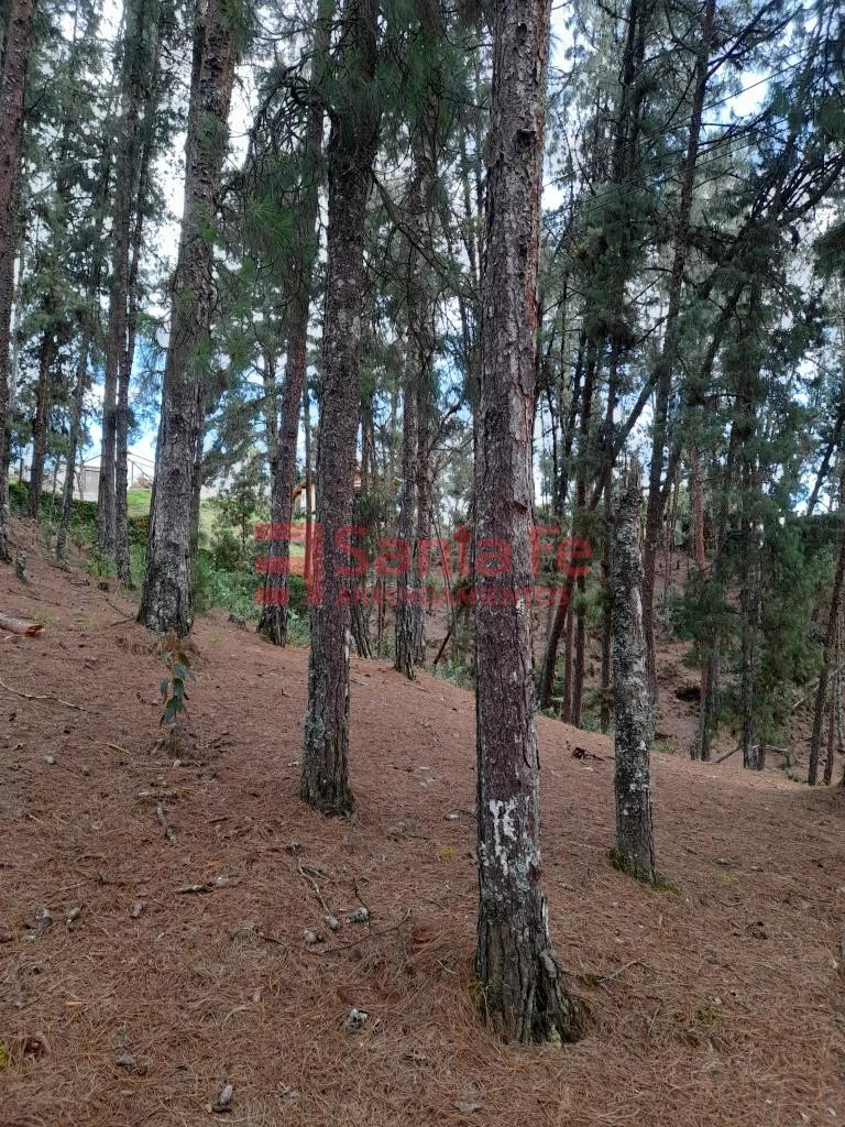 Finca en Santa Elena, Medellín — foto 64