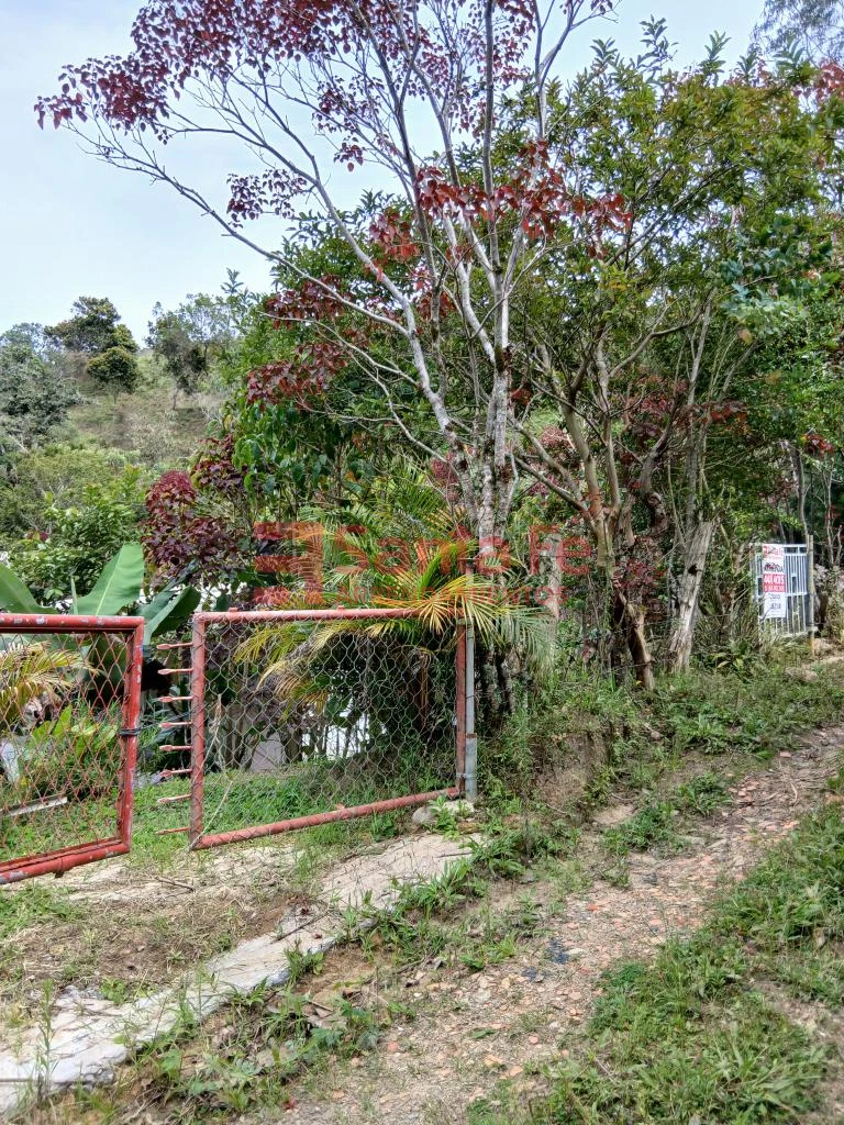 Finca en Guatapé, Guatapé