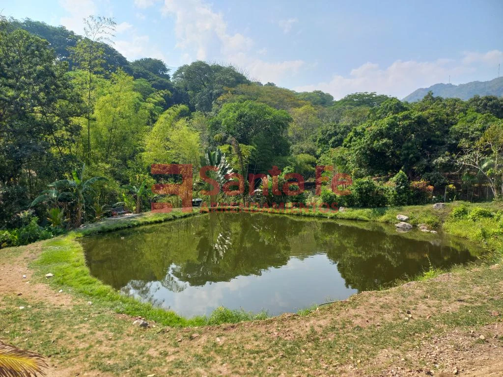 Finca en San Jerónimo, San Jerónimo — foto 25