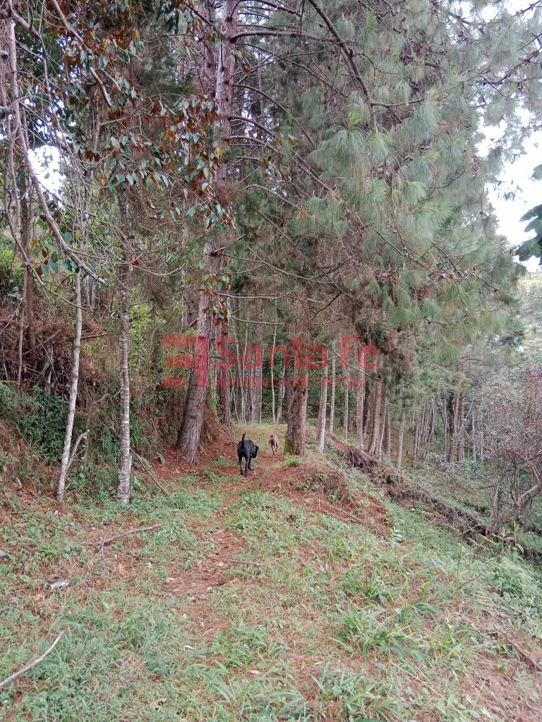 Finca en Guarne, Guarne — foto 69
