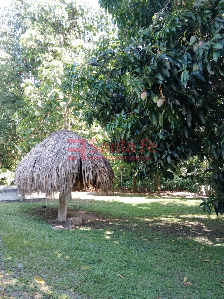 Finca en Sopetrán, Sopetrán — foto 26