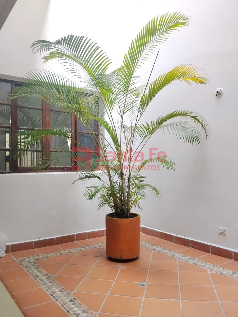 Apartamento en Florida Nueva, Medellín — foto 15