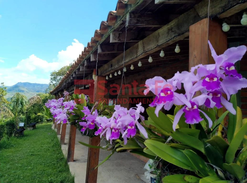 Finca en Amagá, Amagá — foto 16