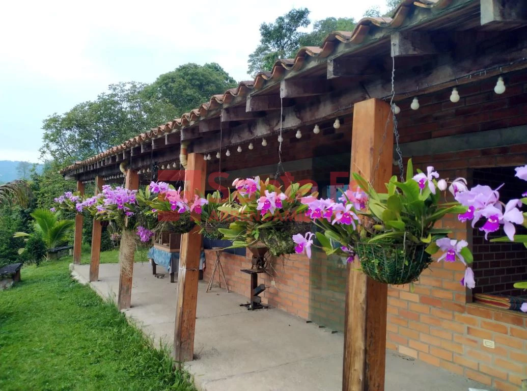 Finca en Amagá, Amagá — foto 17