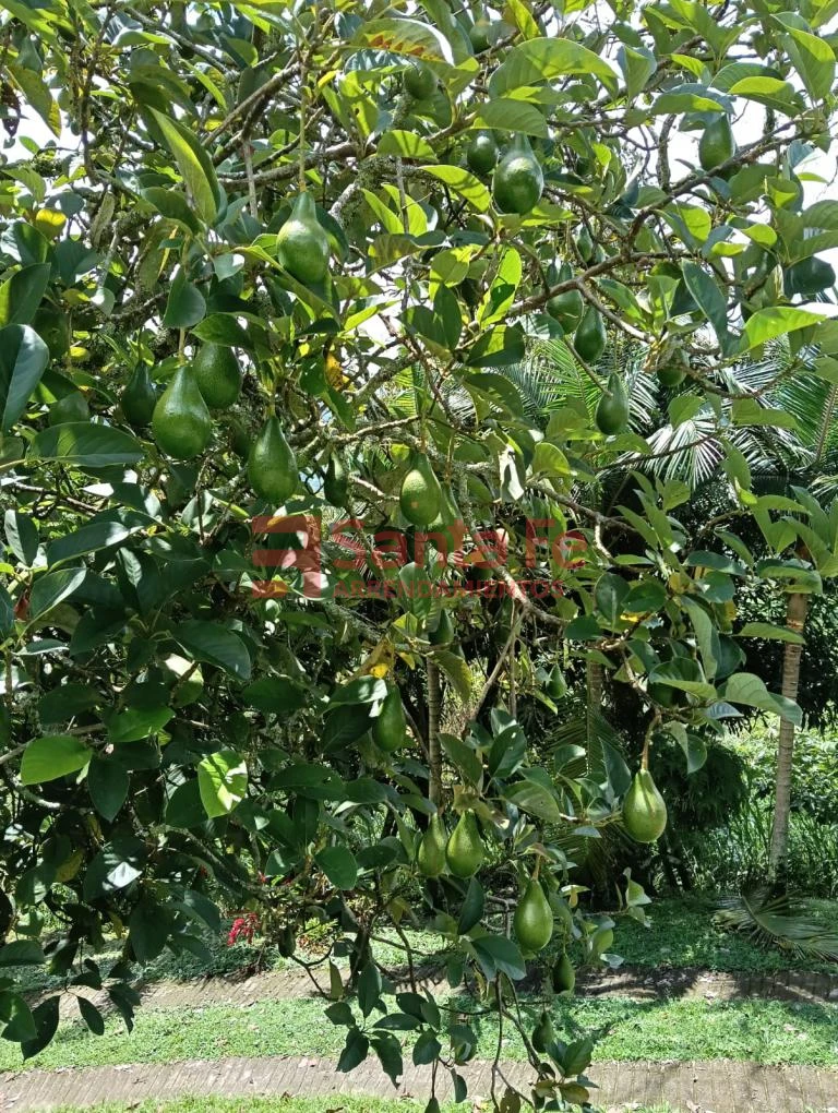 Finca en Amagá, Amagá — foto 18